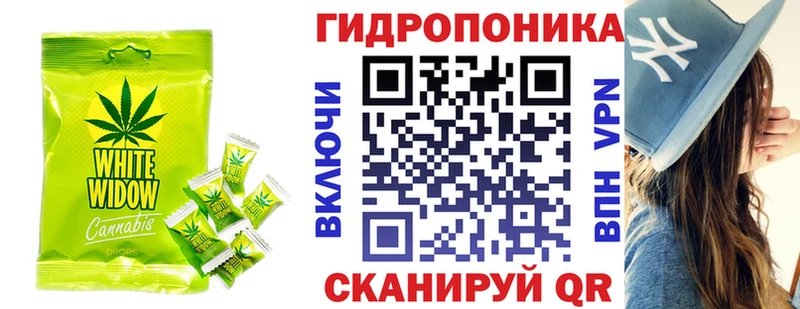 Купить закладки  Сосновка  Cannafood конопля 